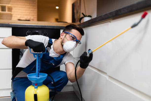 Best Insect Control  in Monessen, PA