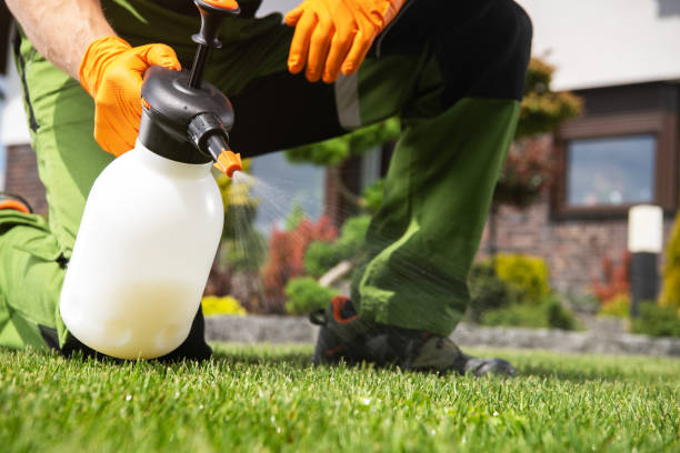 Best Local Pest Control Services  in Monessen, PA