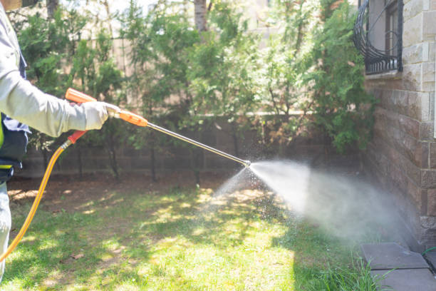 Spider Control Near Me in Monessen, PA