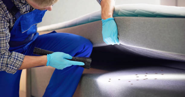 Best Wasp Removal Services  in Monessen, PA