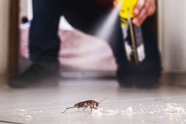 Pest Prevention Services in Monessen, PA