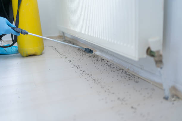 Best Cockroach Control Services  in Monessen, PA