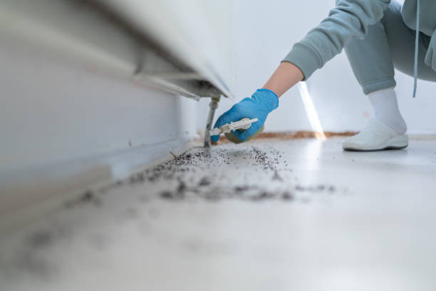 Best Affordable Pest Control Services  in Monessen, PA